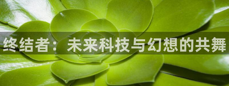 羞羞漫画】：终结者：未来科技与幻想的共舞