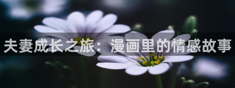 亲爱的大叔漫画免费看全集羞羞漫画：夫妻成长之旅：漫画里的情感故事