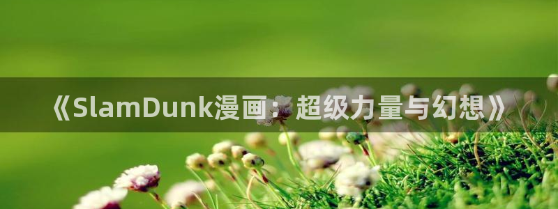 黄羞羞漫画：《SlamDunk漫画：超级力量与幻想》